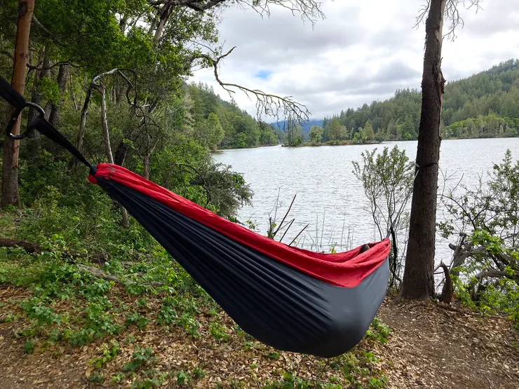 圖片來源：鱸魚