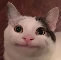 Authorized Discount｜全球爆款好物獵人