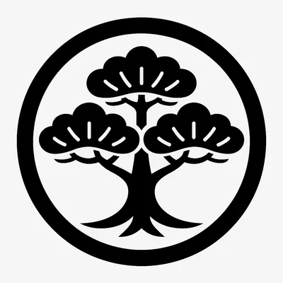 《在穩定中前行》