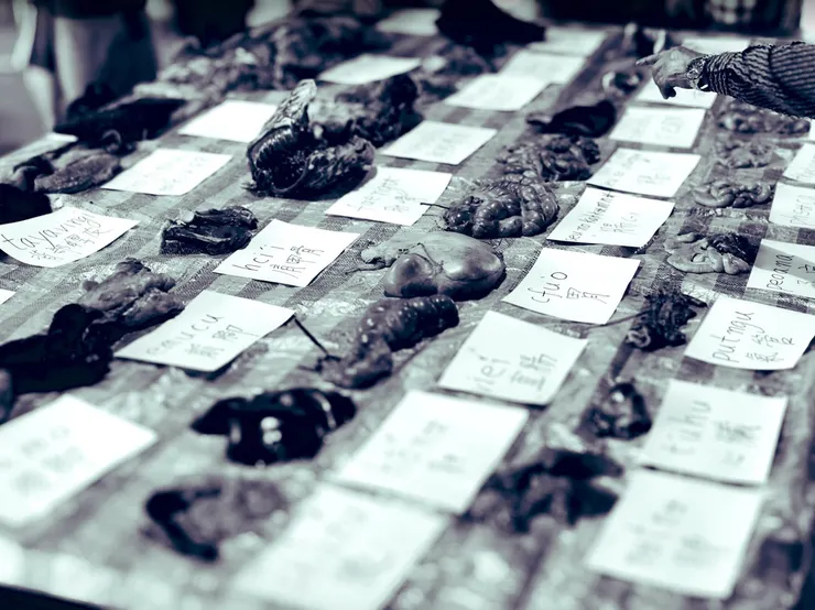 攝於2018年,嘉義縣鄒族獵人協會的田野調查(分肉禮儀)