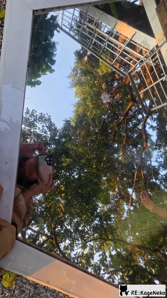 在微光深處之後