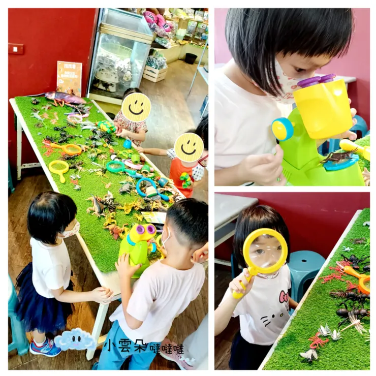 還有規劃一小區給小朋友體驗觀察昆蟲