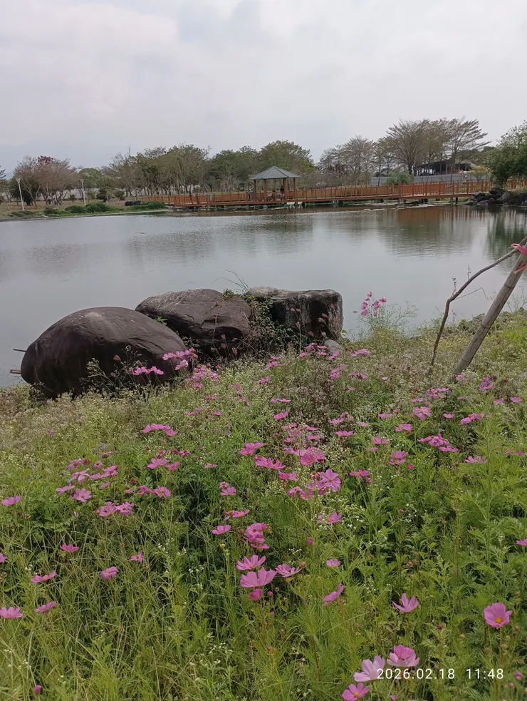 雁過寒潭花妍麗