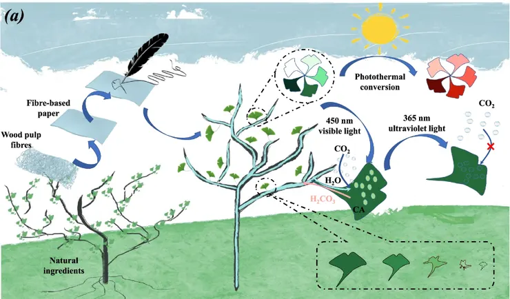 EcoLeaf。圖片取自《自然通訊》