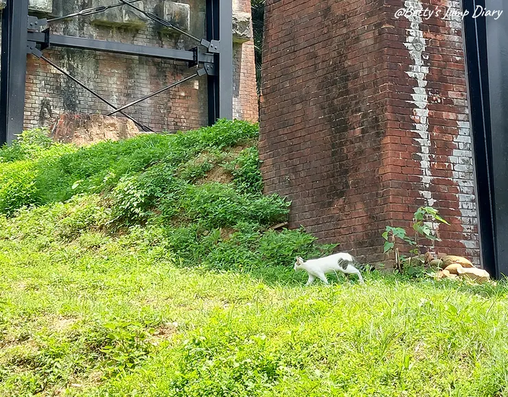 ▲苗栗三義-舊山線鐵道自行車C路線,龍騰站/圖片來源:Betty's Jump Diary
