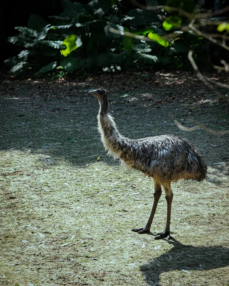 #工作心得 在職場💼不要只是認真就好🟧這6️⃣件事更重要‼️🫡請多為自己好、發掘更多自己的美好❤️ #更新版 #真心話大告白