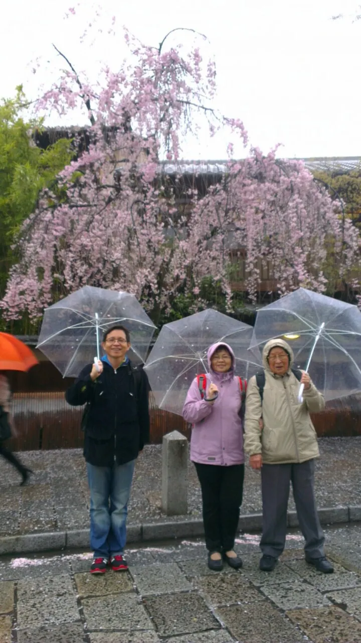 《心的年輪》是一趟用音樂記錄生命軌跡的旅程，楊錦聰從父母身上找到前行的力量，並迎來生命與心靈的綻放。 （圖／風潮音樂 提供）