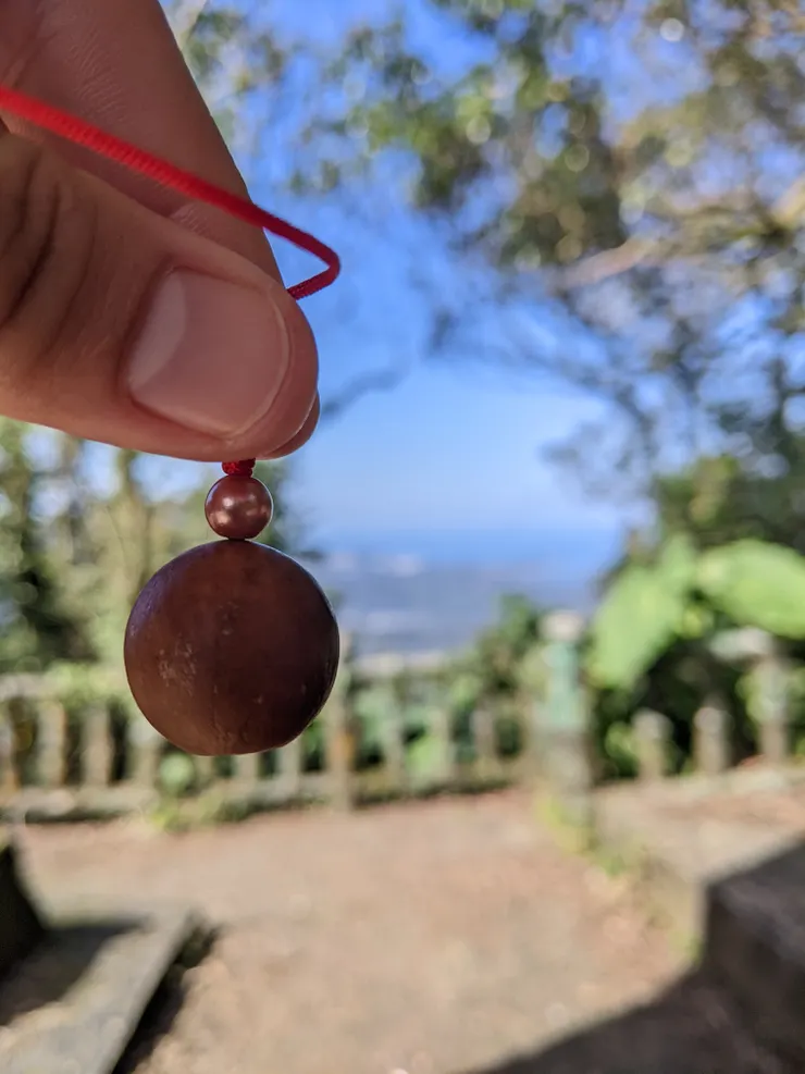 特別的瓊崖海棠