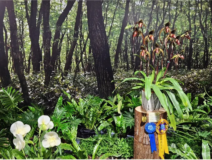 優雅又奇異的造型。