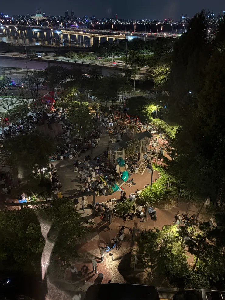 公園當天滿滿的欣賞煙火人潮