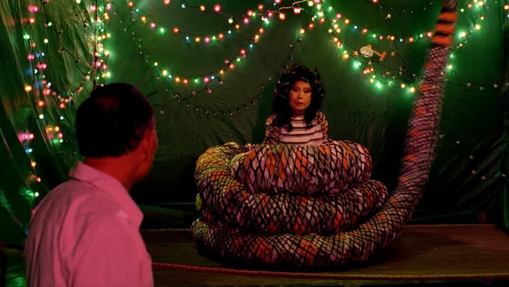 轟動(社群)武林的巨蛇娘娘(圖片取自金馬影展官網)