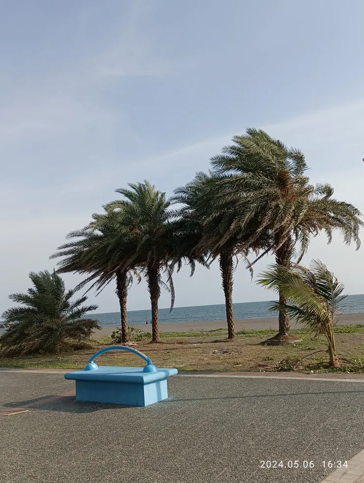 西風將中東海棗髮吹斜