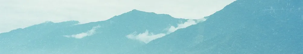 Annie  Chou的沙龍