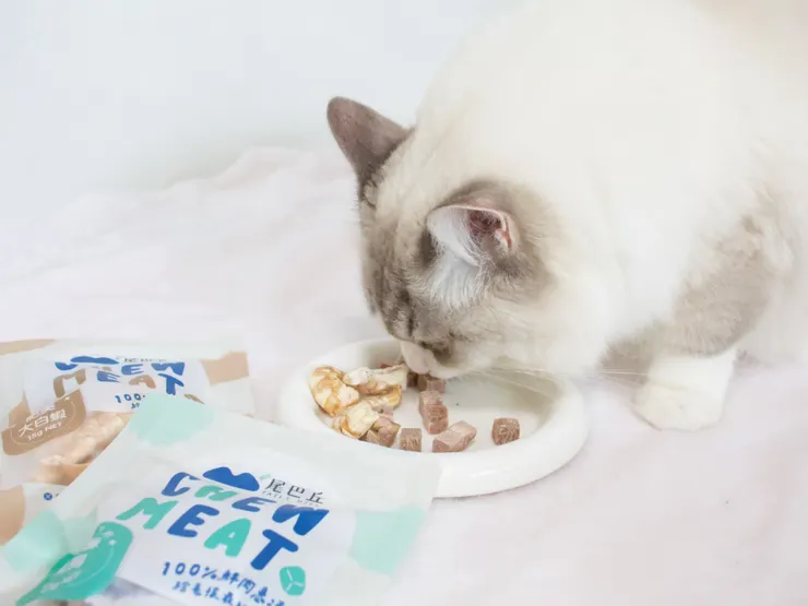 圖說：尾巴丘「肥美大白蝦」原肉凍乾，完整封存新鮮白蝦仁的營養與鮮甜，讓最挑嘴的貓咪也無法抗拒。（資料來源：尾巴丘毛孩選物）