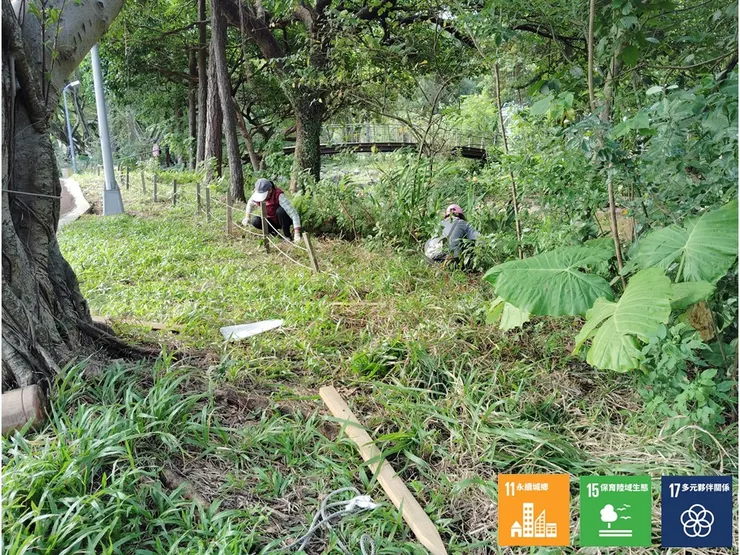 除了理草,也一併修換了損倒的木圍籬