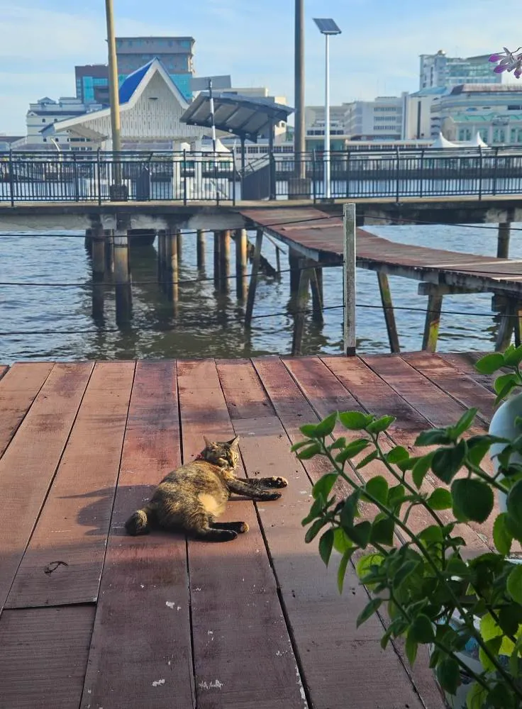 民宿正前方就可以招船了,超方便!(那個看起來像涼亭的,就是船隻隨時停泊處,公車站概念)