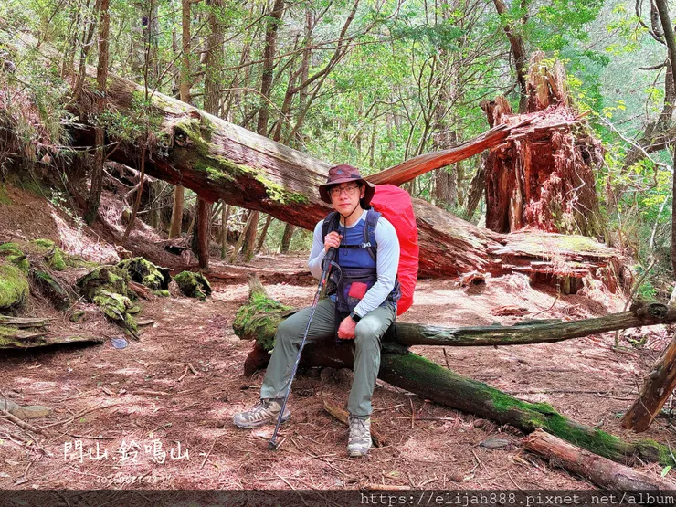 【閂山鈴鳴。兩日50公里百岳行】海拔3272公尺 鈴鳴山-