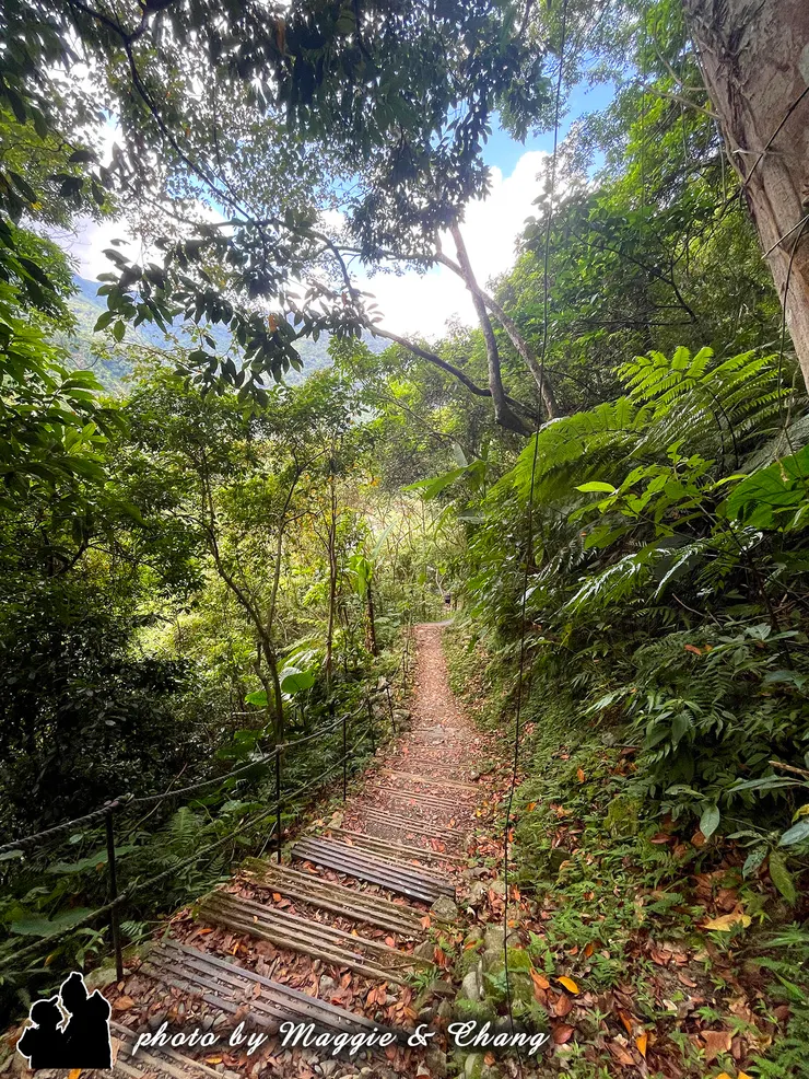 沿著下山的山路慢慢走，抬頭仰望藍天與白雲，心中不禁感謝老天，賞了這麼一個晴朗的好天氣。陽光灑在樹梢間，微風拂面，整個下山的過程既清爽又愉悅，彷彿為這趟森林之旅畫下完美句點。