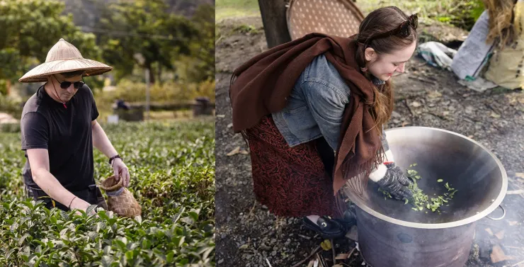 圖說：親自到茶園體驗採茶、炒茶殺菁活動，除了體會茶農辛苦，也了解友善種植以及台灣對永續環境的重視。（credit by photoammon）