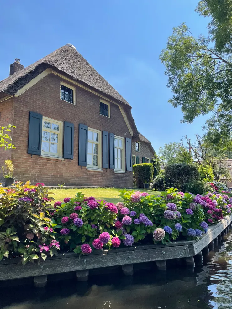 在每一間屋子的花園，都可以看到盛開的繡球