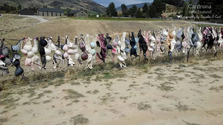 卡德羅納胸罩圍欄