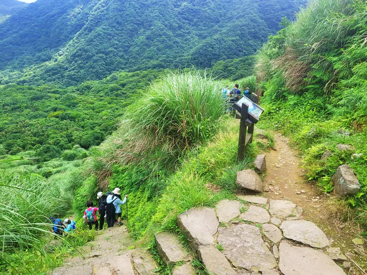 右為河南勇路，右為日人路，二條路線彼此不斷交會