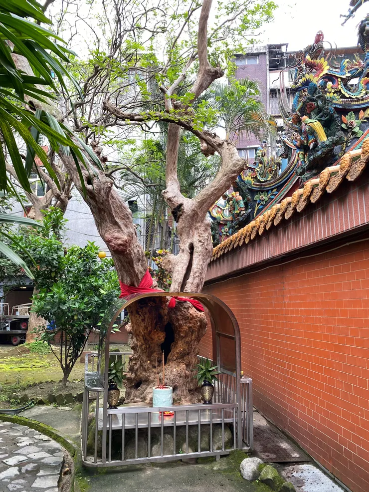 咸亨宮最造建廟就在這棵九穹樹下