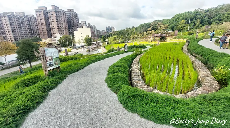 ▲大有梯田生態公園/圖片來源：Betty's Jump Diary