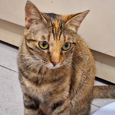 恰好路過的沙龍