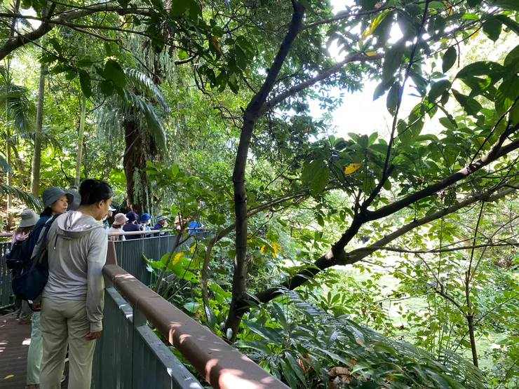 萃湖周邊有規劃完善的木棧道