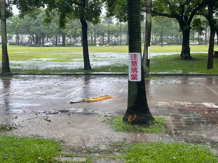 滿地積水的午後雷陣雨。