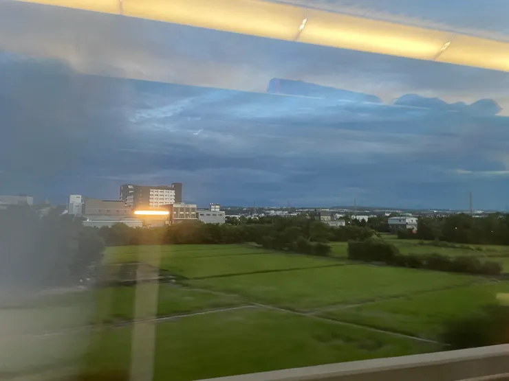 綠油油的稻田是我乘坐高鐵時的最佳伴侶