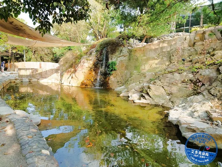 南投國姓新景點｜春水山林