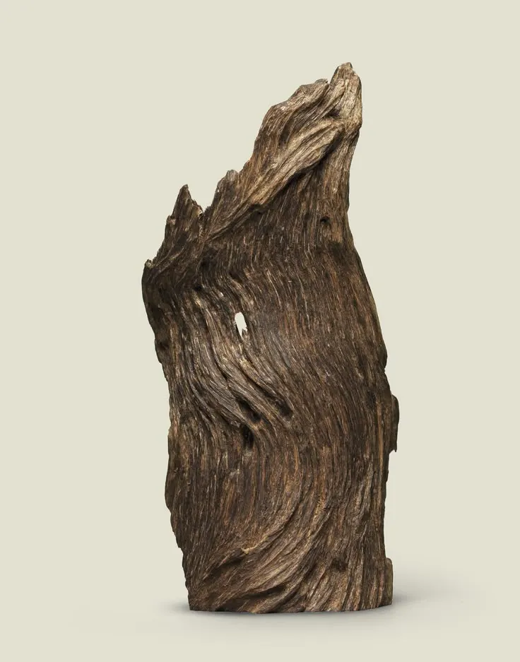 圖片來自Pinterest