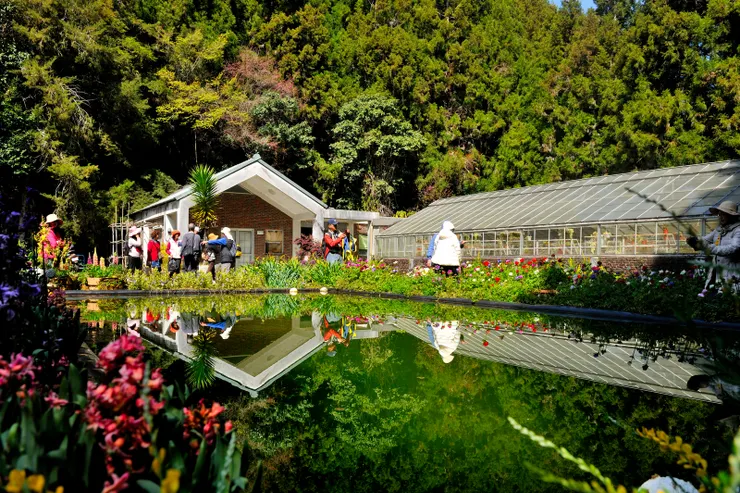 【溫帶花卉區旁的水池,池水如鏡,週邊種滿各種溫帶花卉,右側建築為多肉植物溫室,今天没開放。】