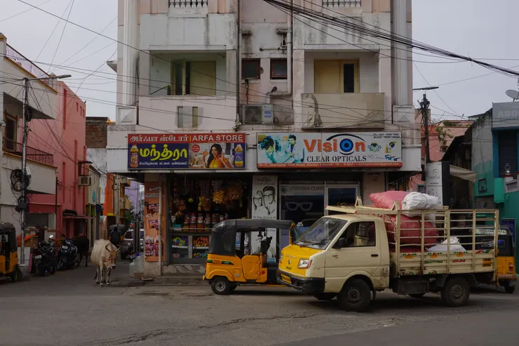 Parangimalai街頭與路牛