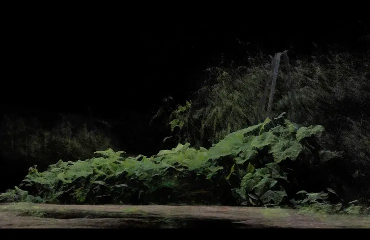 ScanLAB Projects《FRAMERATE: PULSE OF THE EARTH》／圖片來源：《FRAMERATE: PULSE OF THE EARTH》作品片段