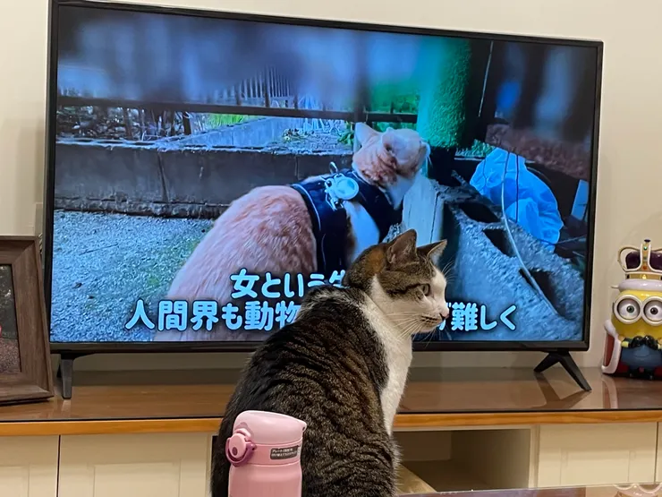 很有默契朝著同個方向