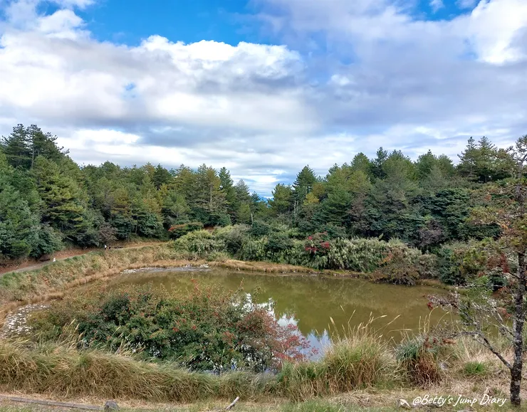 ▲台中「大雪山國家森林遊樂區」/圖片來源：Betty's Jump Diary