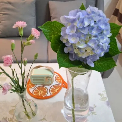 Claire！ 克萊兒心靈四季的沙龍