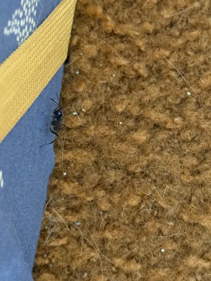 拍攝於 2025/6/16 睡前