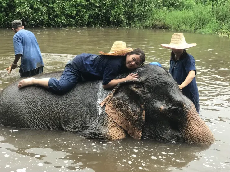 和大象親密接觸好療癒