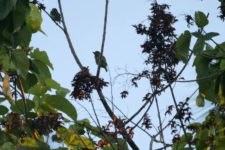 很可愛的顔色配搭