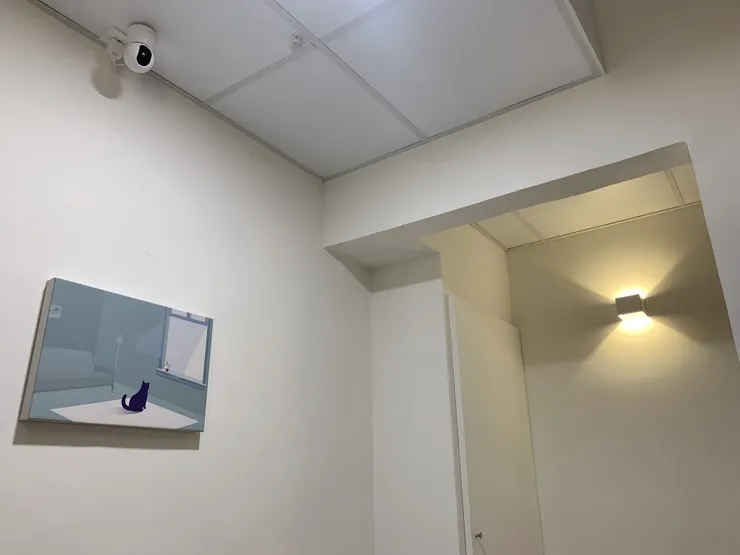 兩房外面走道的掛畫