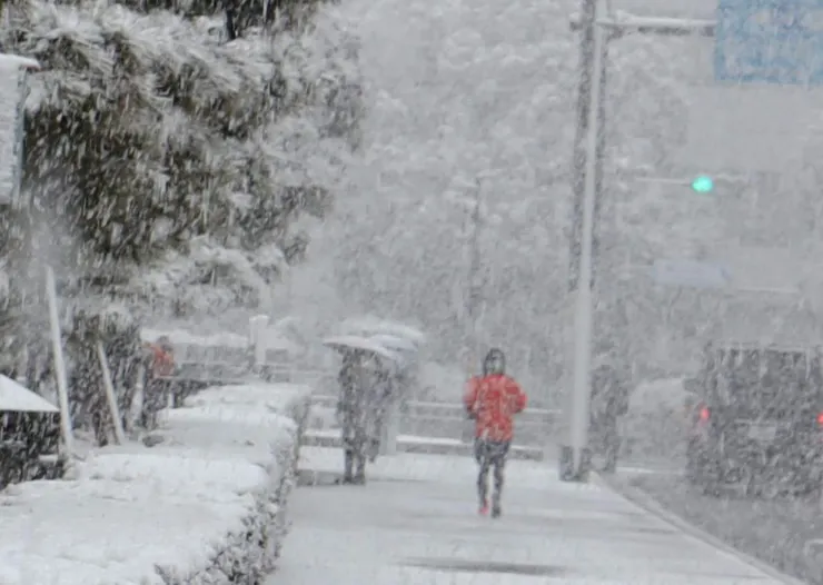 京都二條城外的跑者