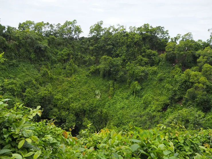 火山口，現在已長滿植物。