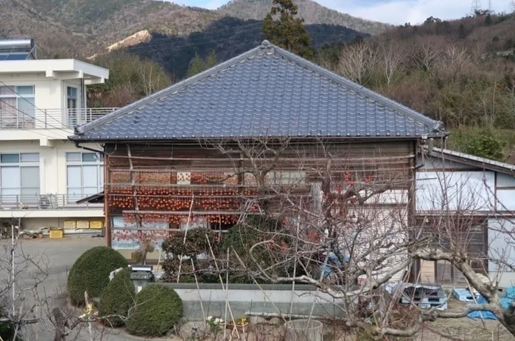 屋簷下也有筆柿