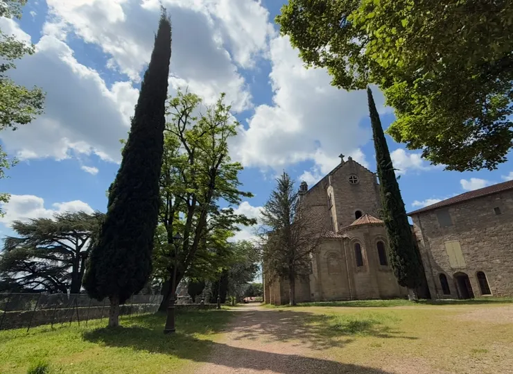 享受陽光遍滿草地的幸褔