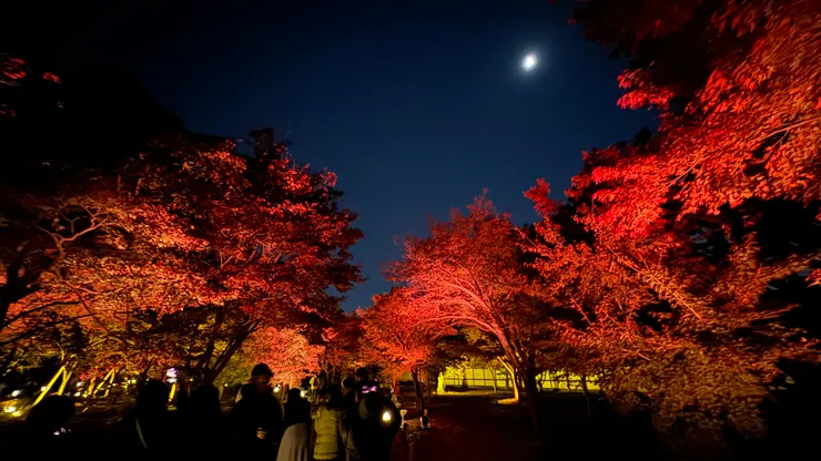 圖片來源：自行拍攝