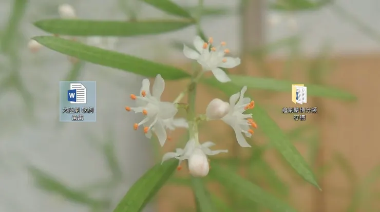 蒔緣的電腦桌面一隅